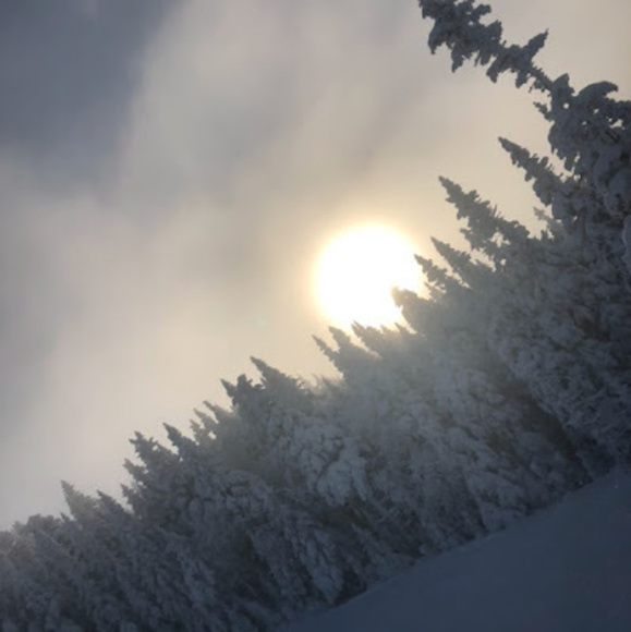 Meet your Posher, Chaserbeast08 - Picture 1 of 1